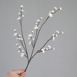 Bloesemtak gipskruid - wit