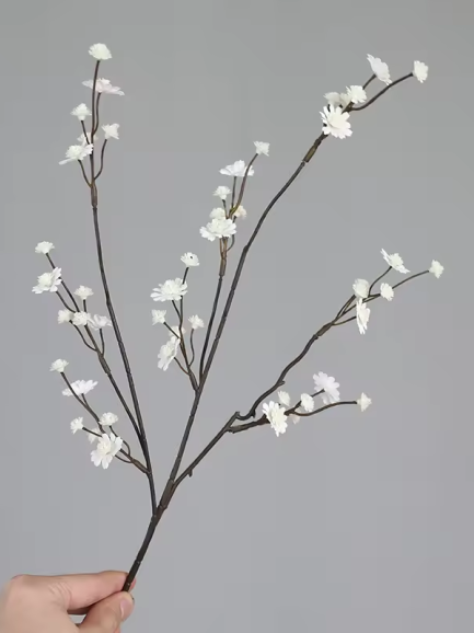 Bloesemtak gipskruid - wit