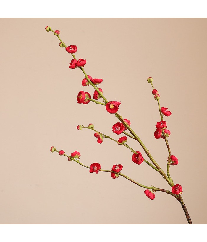 Pruimenbloesem - rood