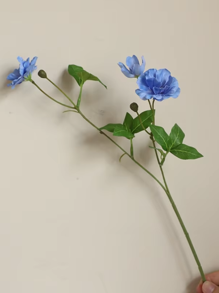 Vlinder lotusbloem - blauw Vlinder lotusbloem - blauw