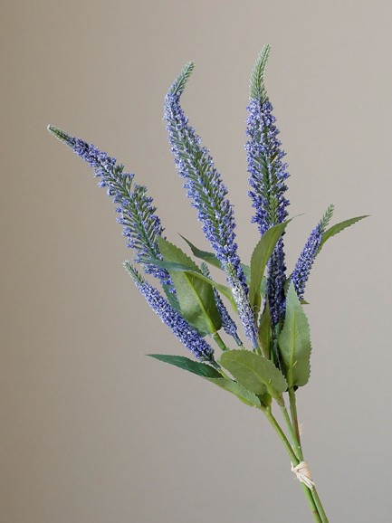Bosje van 3 lavendel blauw