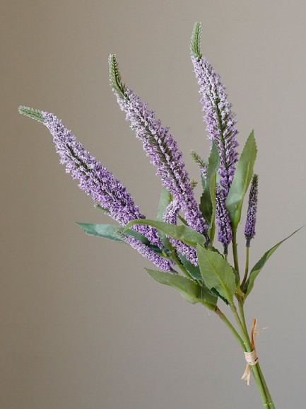 Bosje van 3 lavendel paars