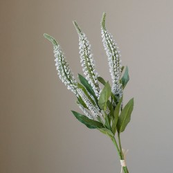 Bosje van 3 lavendel wit