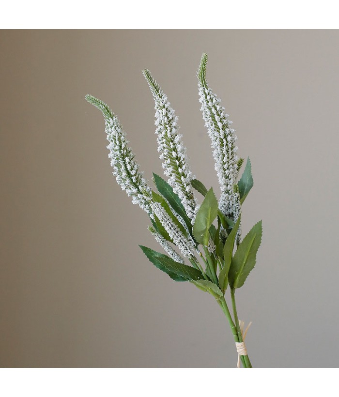 Bosje van 3 lavendel wit