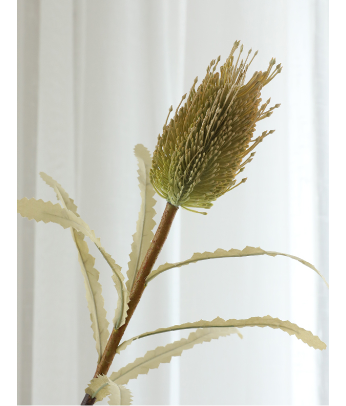 Naaldbloem - groen