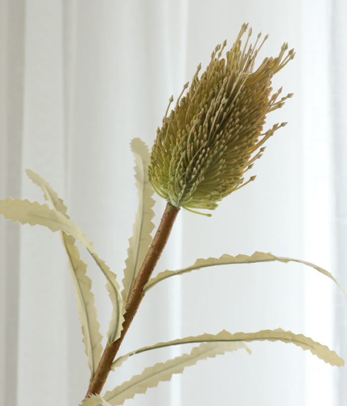 Naaldbloem - groen