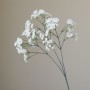 Mini chrysant - wit