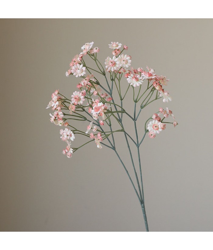 Mini chrysant - lichtroze