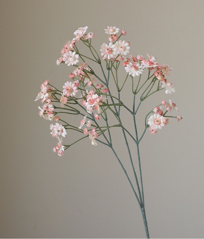 Mini chrysant - lichtroze