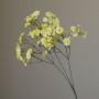 Mini chrysant - geel