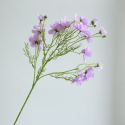 Viooltjes - paars
