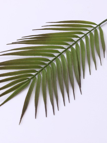 Palmblad - donkergroen Palmblad - donkergroen