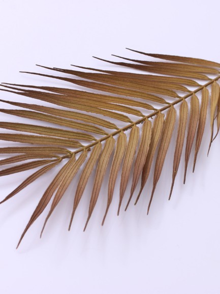 Palmblad - roodbruin Palmblad - roodbruin