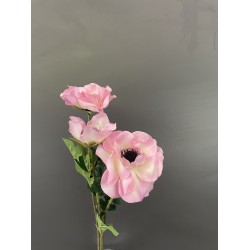 Anemoon - 3 bloemen - roze