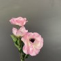 Anemoon - 3 bloemen - roze