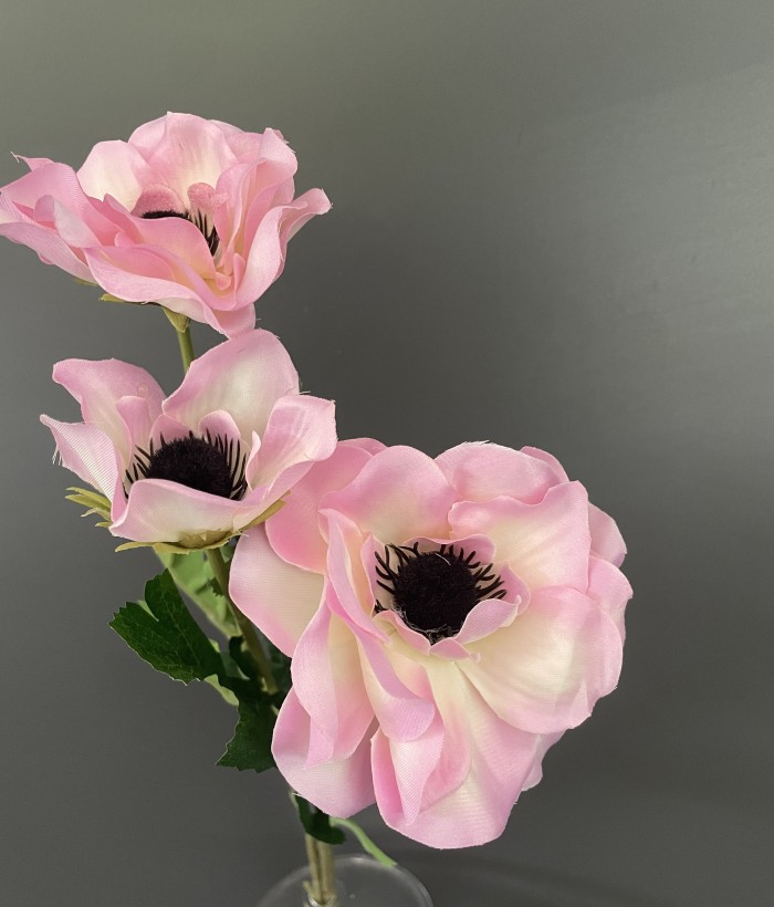 Anemoon - 3 bloemen - roze Anemoon - 3 bloemen - roze