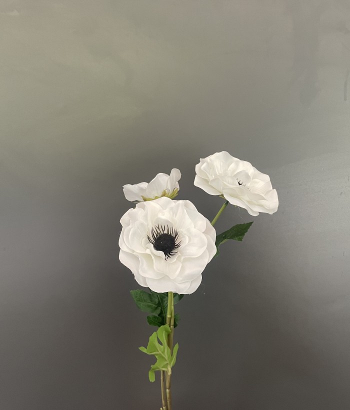 Anemoon - 3 bloemen - wit