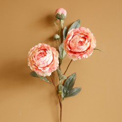 Pioenroos - roze