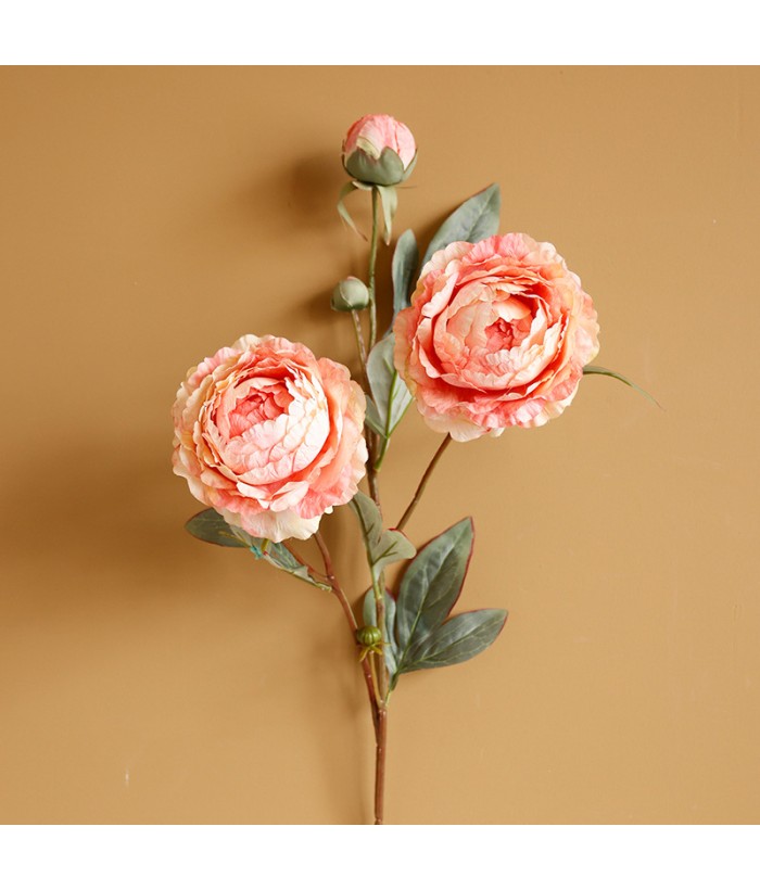 Pioenroos - roze