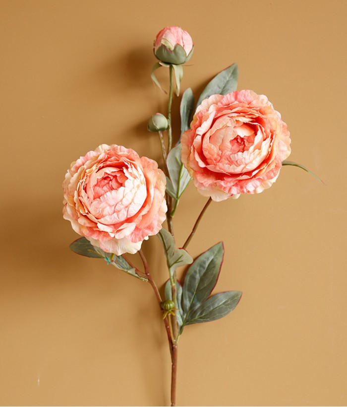 Pioenroos - roze