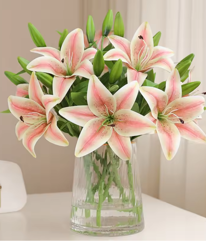Lelie - roze Lelie - roze