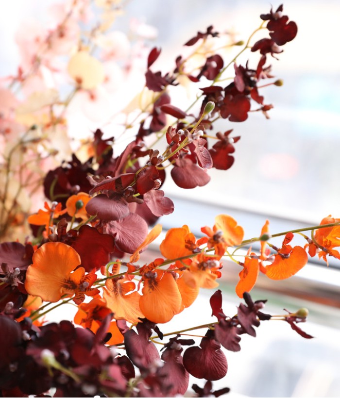Dansende orchidee - paars Dansende orchidee - paars