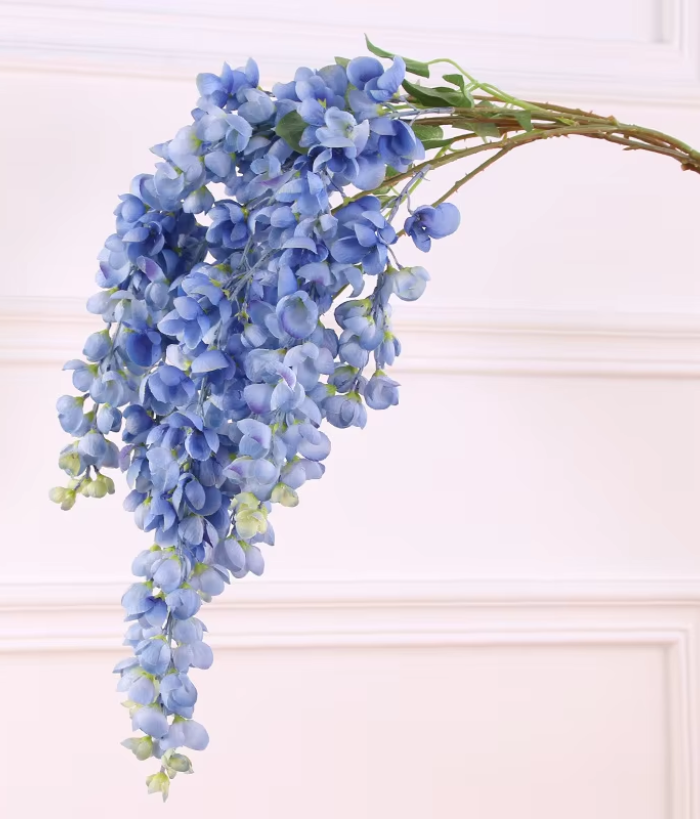 Blauwe regen - blauw Blauwe regen - blauw