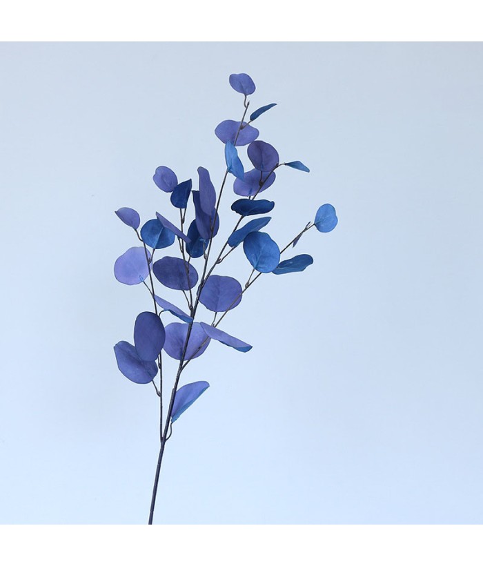 Eucalyptus tak - groot - blauw