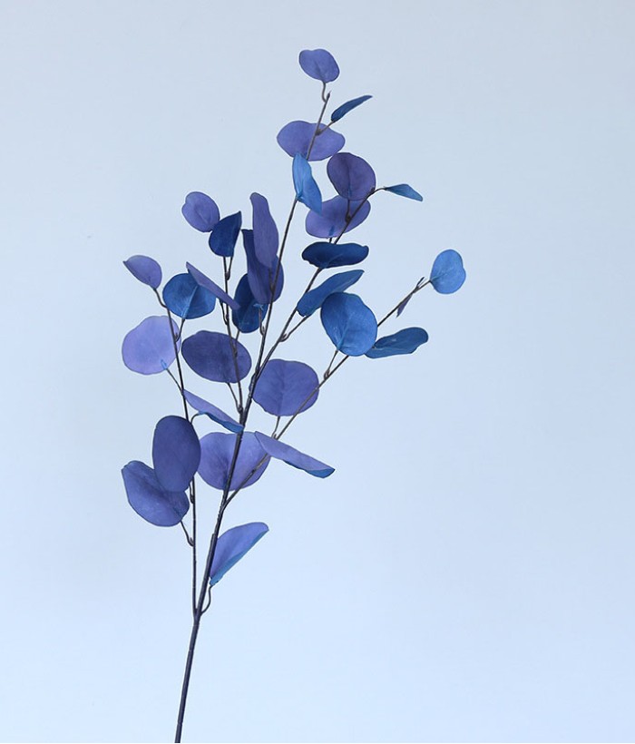 Eucalyptus tak - groot - blauw