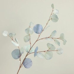 Eucalyptus tak - groot - lichtblauw