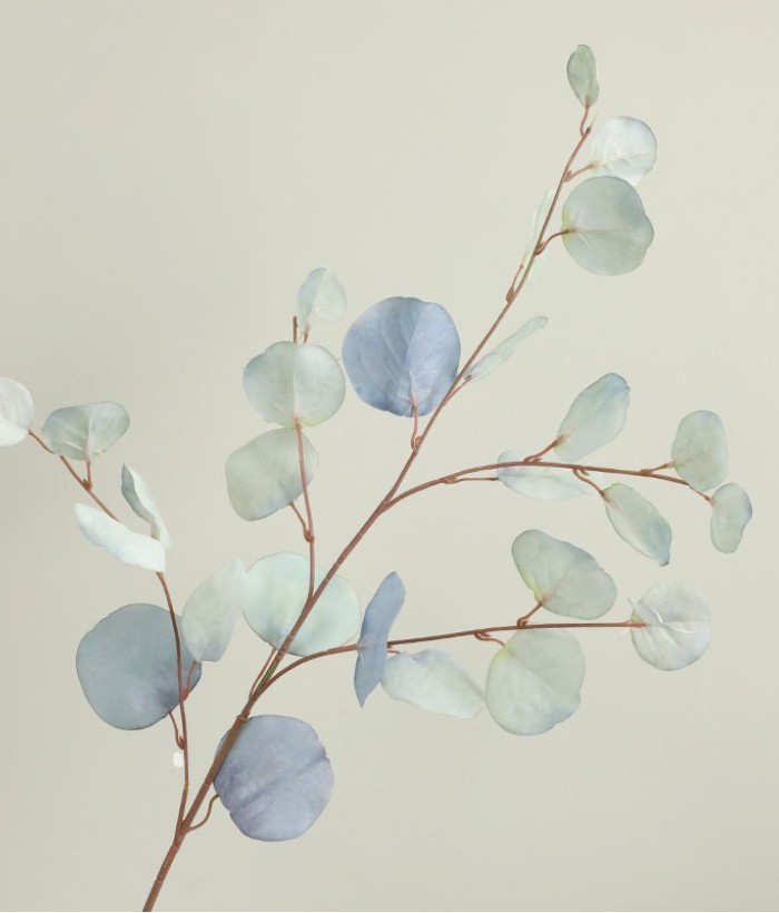 Eucalyptus tak - groot - lichtblauw