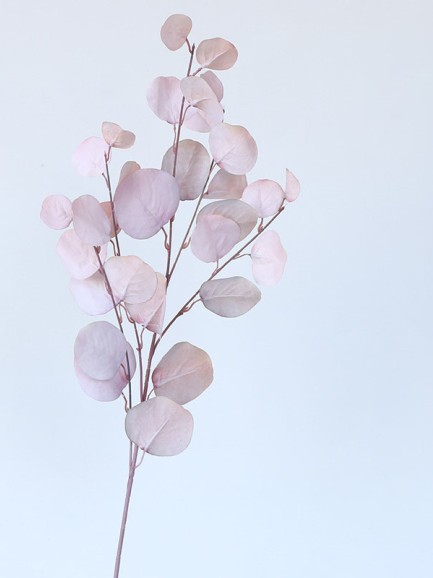 Eucalyptus tak - groot - lichtrood