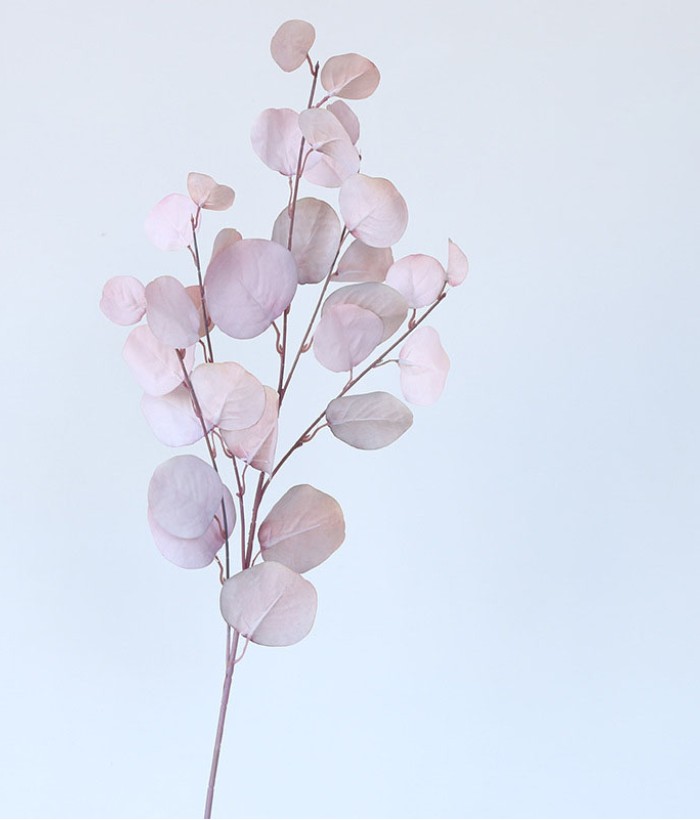 Eucalyptus tak - groot - lichtrood