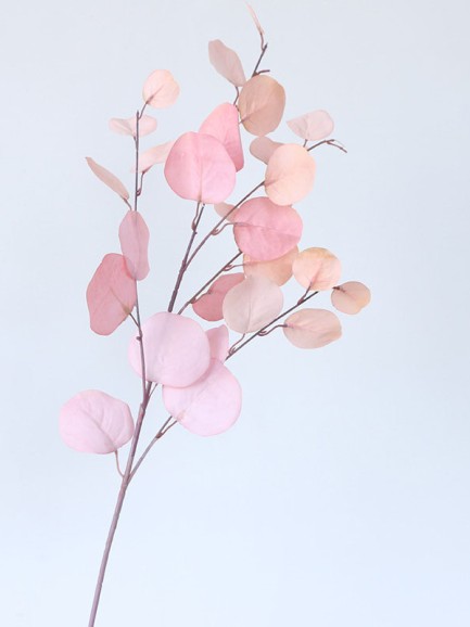 Eucalyptus tak - groot - lichtroze