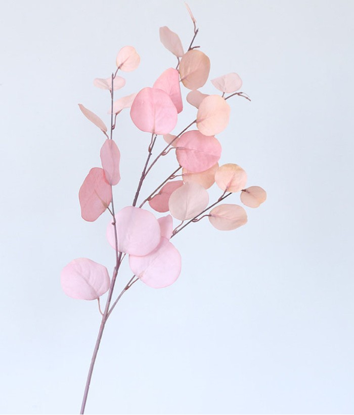 Eucalyptus tak - groot - lichtroze