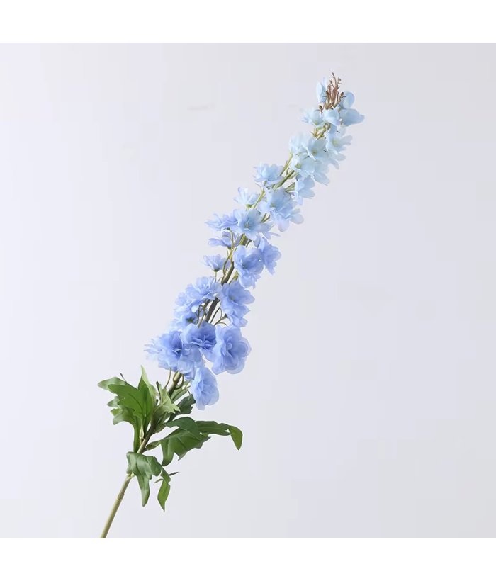 Delphinium - lichtblauw
