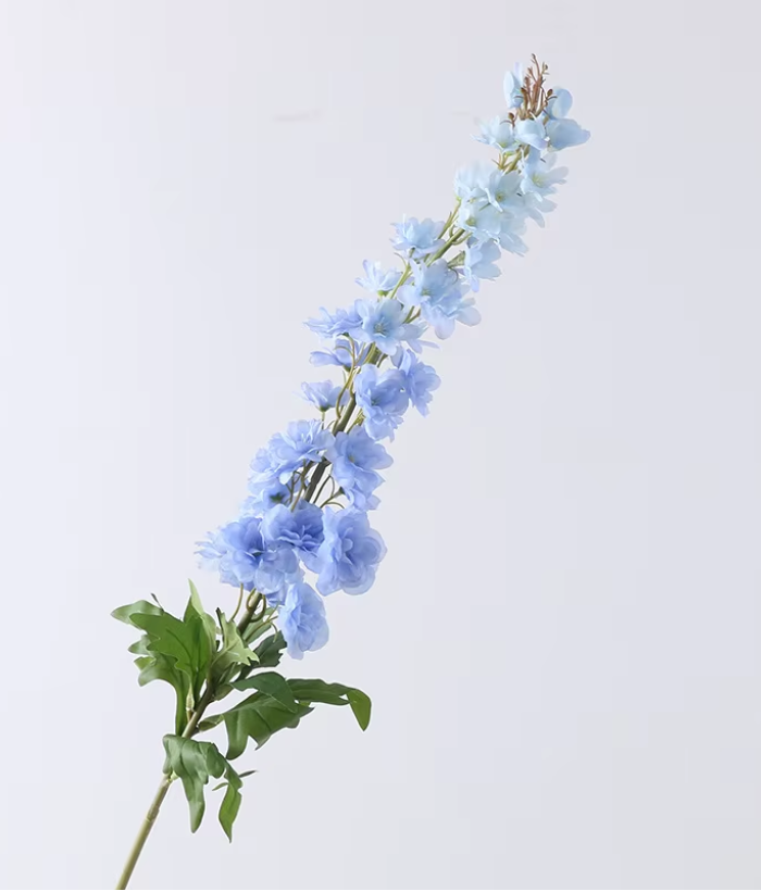 Delphinium - lichtblauw