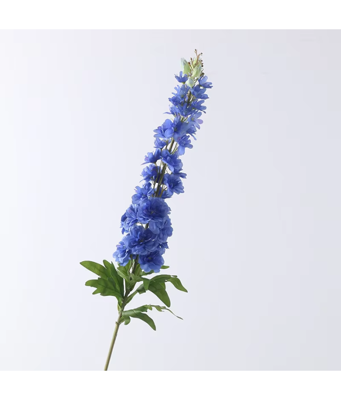 Delphinium - blauw