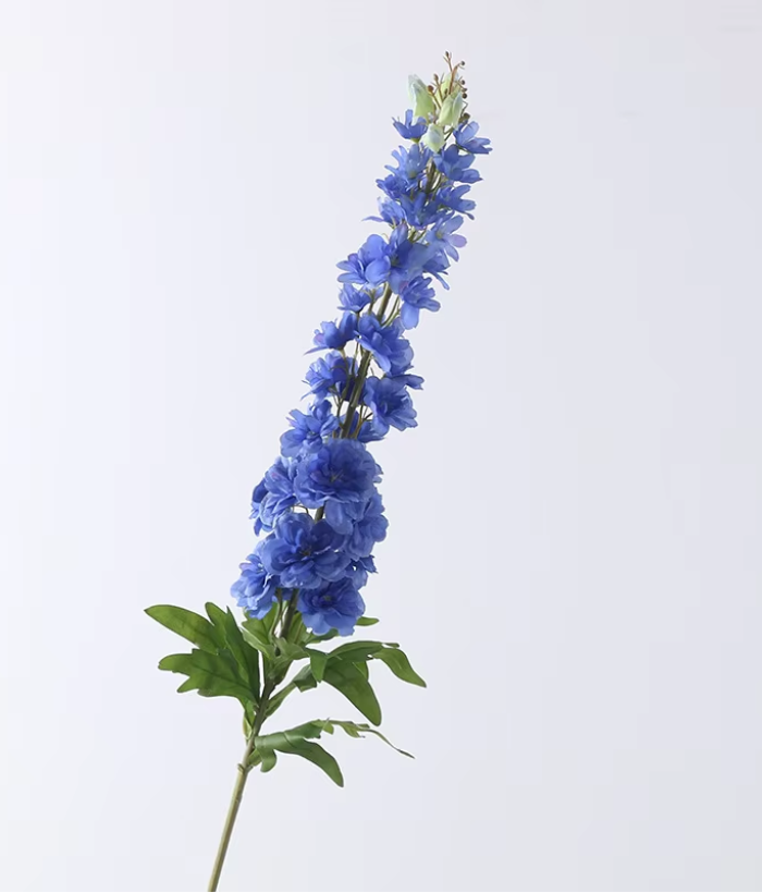 Delphinium - blauw