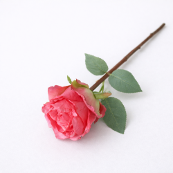 Roos - roze
