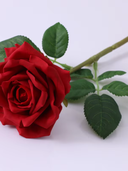 Roos - rood