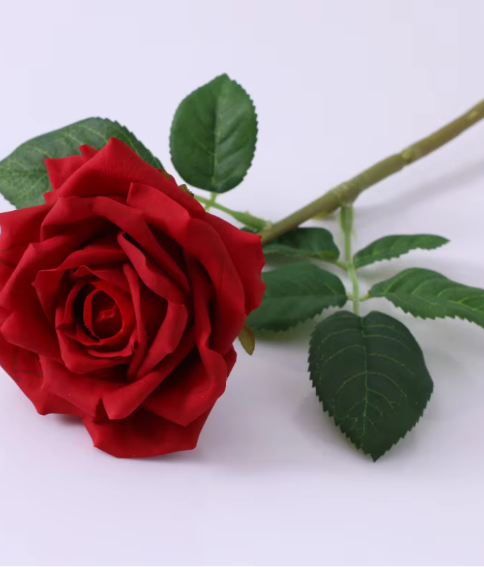 Roos - rood