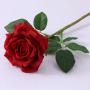 Roos - rood