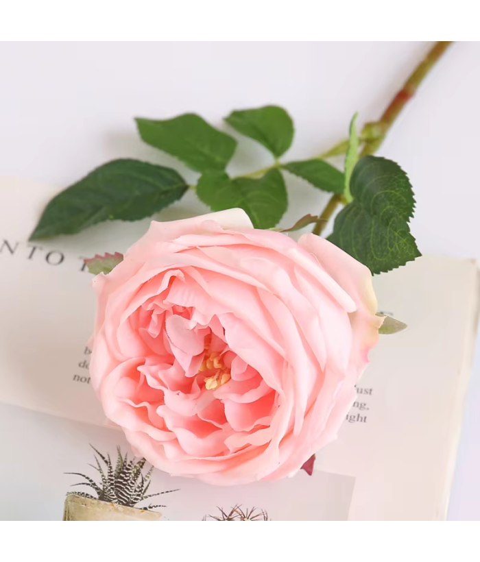 Roos - grote bloem - roze