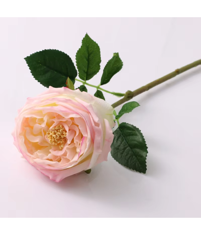 Roos - grote bloem - licht roze