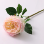 Roos - grote bloem - licht roze
