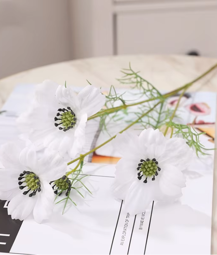 Perzische chrysant - wit Perzische chrysant - wit