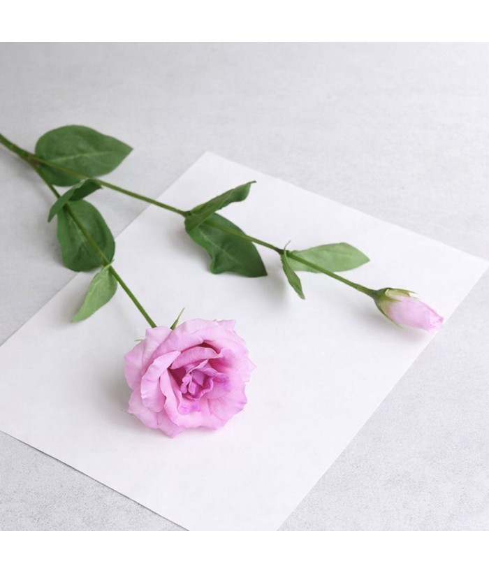 Kikyo (Japanse klokbloem) lichtpaars