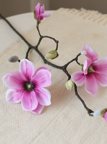 Magnolia - paars Magnolia - paars