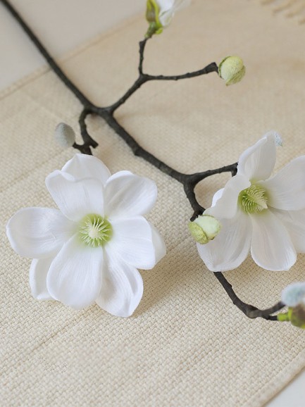 Magnolia - wit Magnolia - wit
